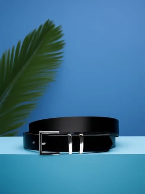 Sinsay - Pasek z imitacji skóry ze srebrną klamrą - czarny