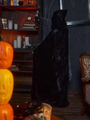 Zdjęcie produktu Sinsay - Peleryna halloweenowa - czarny