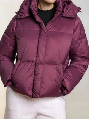 Sinsay - Pikowana kurtka puffer - bordowy