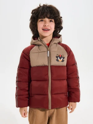 Sinsay - Pikowana kurtka puffer z kapturem Sonic the Hedgehog - brązowy