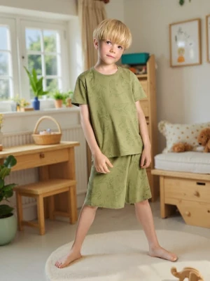 Sinsay - Piżama dwuczęściowa z motywem dinozaurów - zielony