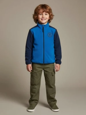 Sinsay - Polarowa bluza ze stójką Active - granatowy