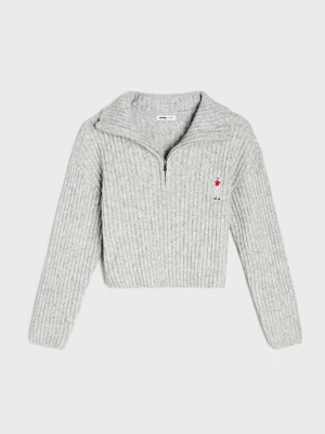 Sinsay - Prążkowany sweter half-zip z haftem pudla - szary