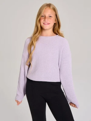 Sinsay - Prążkowany sweter w paski - fioletowy