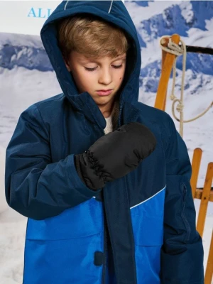 Sinsay - Rękawiczki jednopalczaste z podszewką - czarny