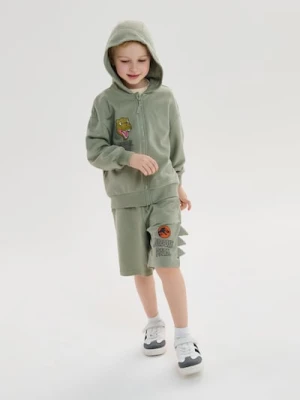 Sinsay - Rozpinana bluza z kapturem Jurassic Park - zielony