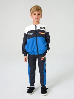 Sinsay - Spodnie dresowe Hot Wheels - szary