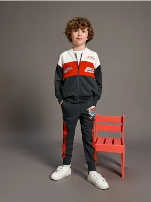 Sinsay - Spodnie dresowe jogger Hot Wheels - szary