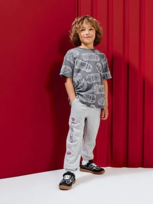 Sinsay - Spodnie dresowe jogger loose 2 pack - szary