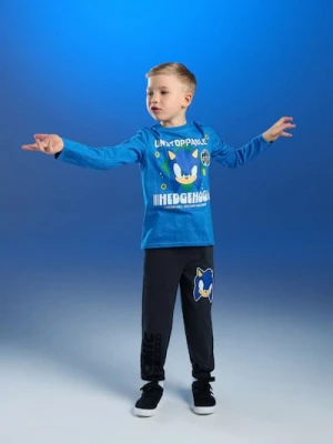 Sinsay - Spodnie dresowe jogger Sonic the Hedgehog - brązowy