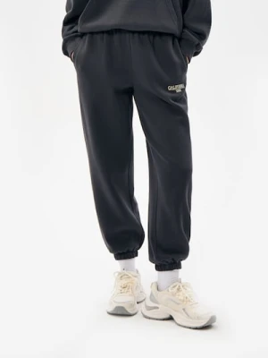 Sinsay - Spodnie dresowe jogger - szary
