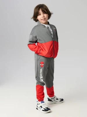 Sinsay - Spodnie dresowe jogger z nadrukiem Spiderman - szary