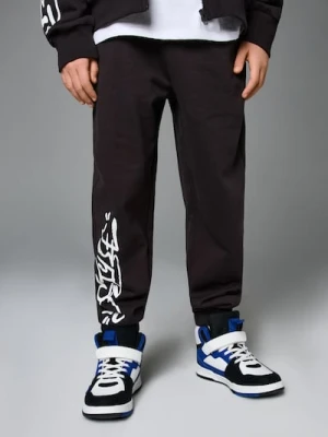 Sinsay - Spodnie dresowe loose - szary