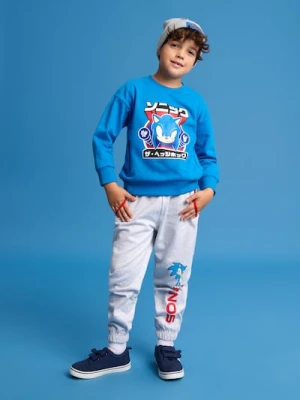 Sinsay - Spodnie dresowe Sonic - szary