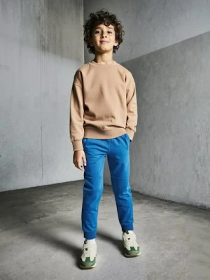 Sinsay - Spodnie dresowe z przeszyciami - niebieski