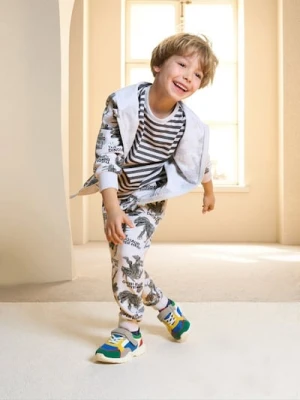 Sinsay - Spodnie dresowe ze ściągaczami w dinozaury - szary