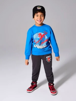 Sinsay - Spodnie jogger Spider-Man - szary