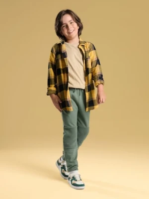 Sinsay - Spodnie jogger ze ściągaczami - green spruce