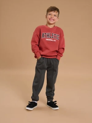 Sinsay - Spodnie jogger ze ściągaczami - szary