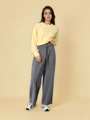 Sinsay - Spodnie materiałowe z szeroką nogawką - szary