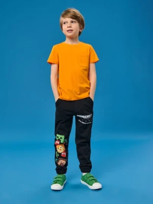 Sinsay - Spodnie Minecraft - szary