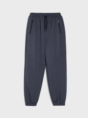 Sinsay - Spodnie sportowe jogger Active - szary