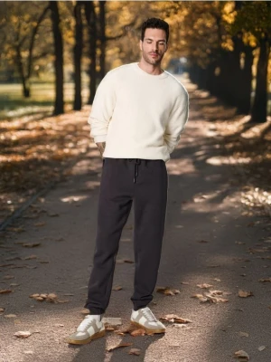 Sinsay - Spodnie - szary