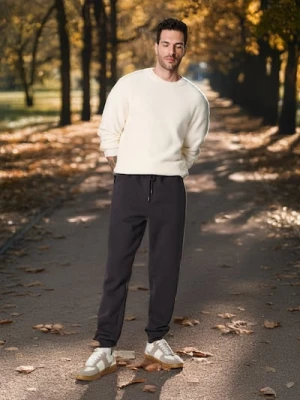 Sinsay - Spodnie - szary