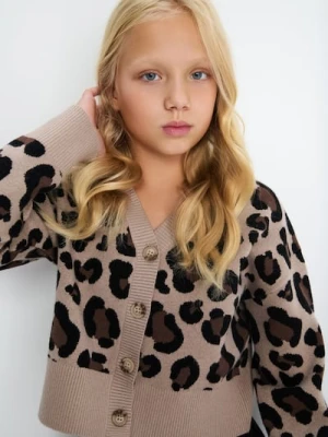 Sinsay - Sweter we wzór zwierzęcy z wiskozy - wielobarwny