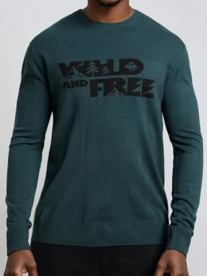 Sinsay - Sweter - zielony