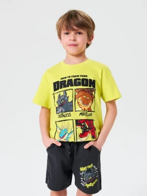 Sinsay - Szorty How to train your dragon - szary