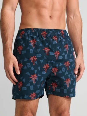 Sinsay - Szorty kąpielowe - wielobarwny