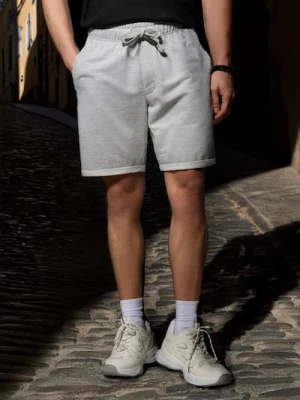 Sinsay - Szorty slim fit - szary