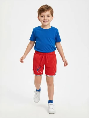 Sinsay - Szorty Spider-Man - czerwony