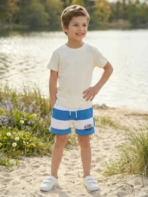 Sinsay - Szorty w paski z materiału French Terry - wielobarwny