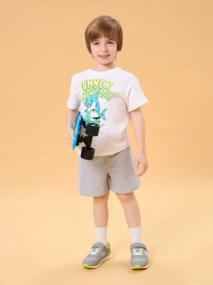 Sinsay - Szorty w stylu basic - szary