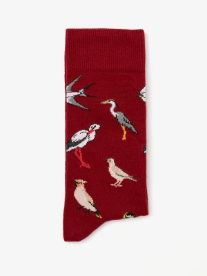 SKARPETY BIRDS BORDO Recman