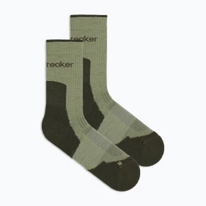 Skarpety damskie Icebreaker Merino Hike+ Light Crew lichen/dark loden Brązowy