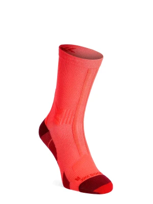 Skarpety do biegania X-Socks Trail Run Discover Crew - fluo red/namib red