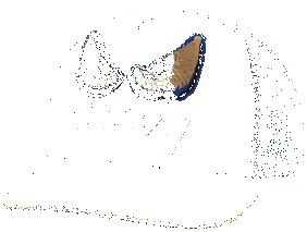 Skechers Monster Eyes Trucker Hat - Niebieski/Czarny