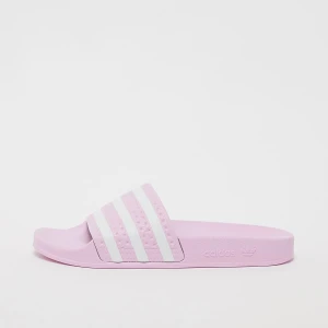 adidas Originals Slides adilette W kobiety Adilette fioletowy rozmiar Buty
