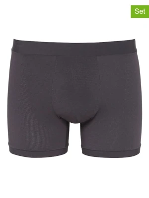 Sloggi Bokserki (2 pary) "Go Allround Short" w kolorze antracytowym rozmiar: 36-42