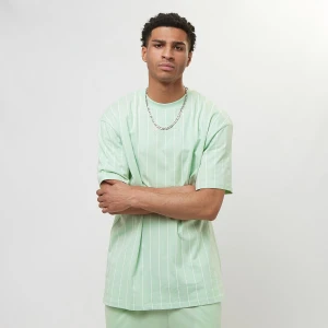 Karl Kani Small Signature Pinstripe Tee mężczyźni T-Shirty i Polo zielony rozmiar Odzież