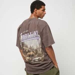 Karl Kani Small Signature Washed Heavy Jersey Landscape Tee mężczyźni T-Shirty i Polo brązowy rozmiar Odzież