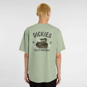 Dickies Snake Tee mężczyźni T-Shirty i Polo zielony rozmiar Odzież