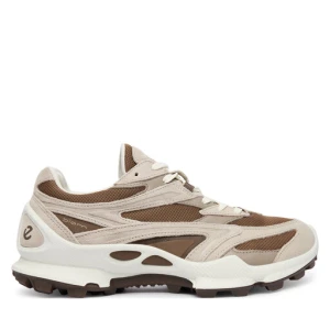 Sneakersy ECCO Biom C-Trail 80347461419 Szary