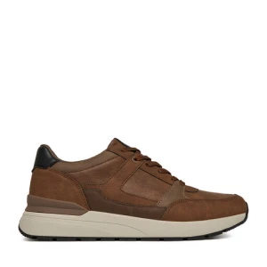 Sneakersy Lanetti CEO-REUS-01 Brązowy