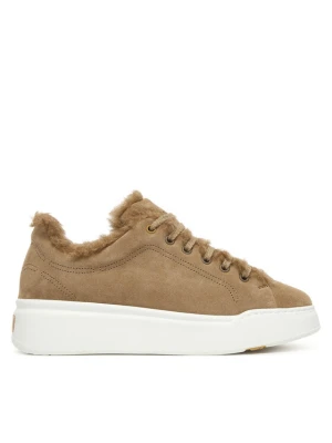 Sneakersy Max Mara Tmaxi 2524766192650 Brązowy