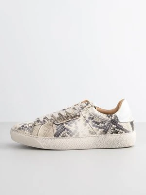 Sneakersy niskie AllSaints