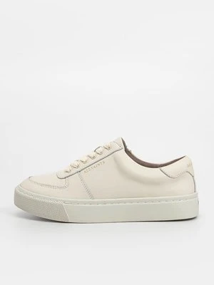 Sneakersy niskie AllSaints